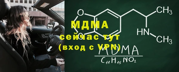 шишки Горно-Алтайск