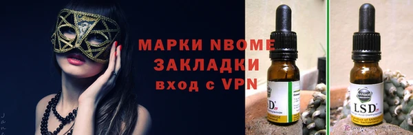 шишки Горно-Алтайск