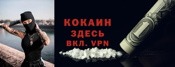 шишки Горно-Алтайск