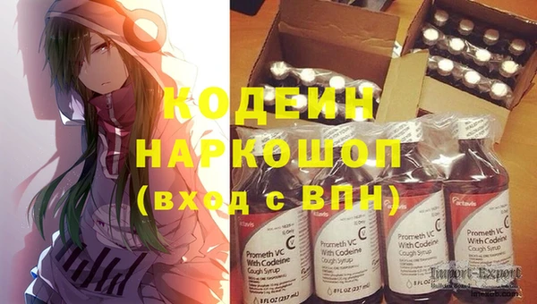 шишки Горно-Алтайск