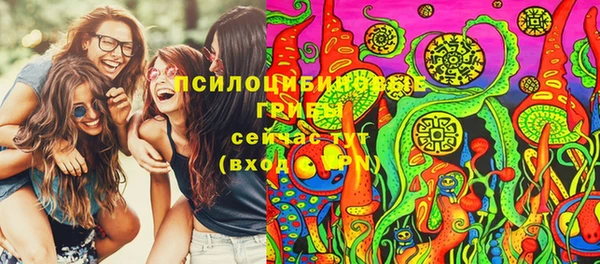 прущие крисы Гусь-Хрустальный