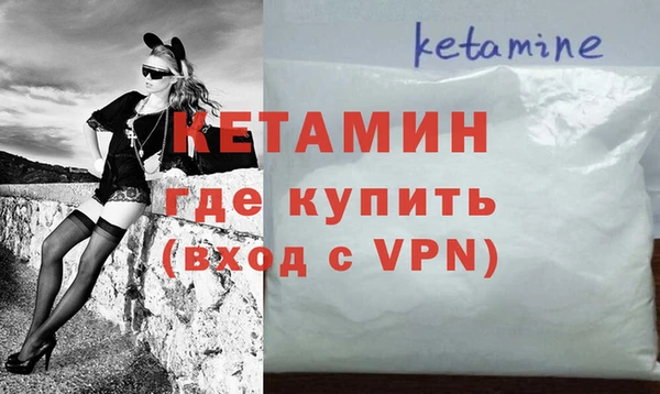 шишки Горно-Алтайск