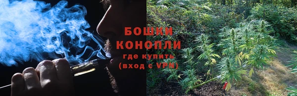прущие крисы Гусь-Хрустальный