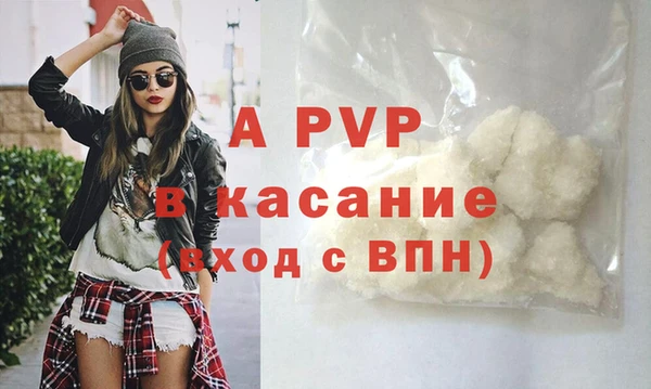 шишки Горно-Алтайск