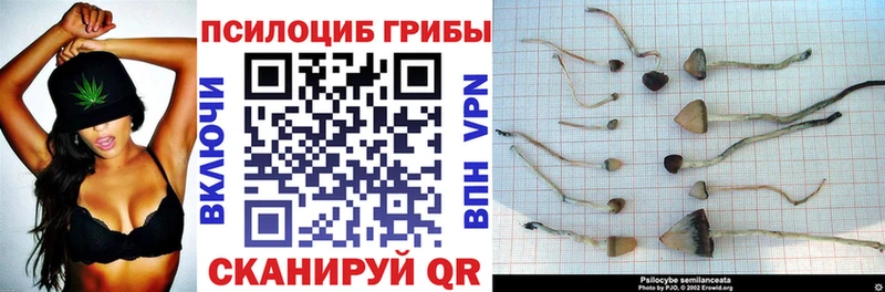 Псилоцибиновые грибы прущие грибы  Заринск 