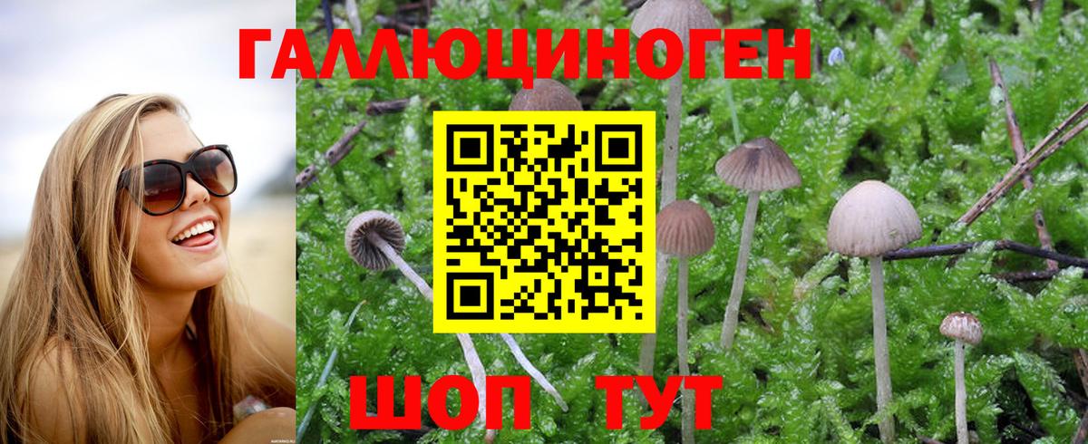 Псилоцибиновые грибы Magic Shrooms  Галлюциногенные грибы Magic Shrooms  Заринск  Вход с VPN 