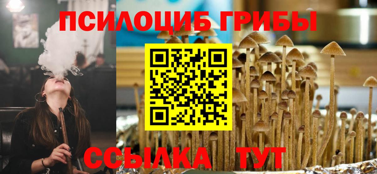 Галлюциногенные грибы мухоморы Заринск
